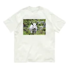 カメアートのカンナビスTシャツ Organic Cotton T-Shirt