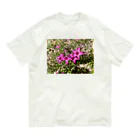 そらもようのシバザクラ Organic Cotton T-Shirt