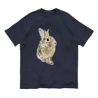 Gallery Neperoのきりっ（ぽんちゃん）影なし オーガニックコットンTシャツ