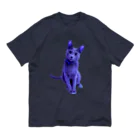 Vermeer-ふぇるめーるのふぇるくん　ぶるーカラー オーガニックコットンTシャツ