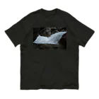 Ryusei Murakamiの瀧ダイナミクス Organic Cotton T-Shirt