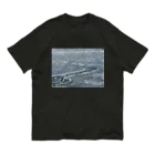 空屋　sorayakusakaの202102101059001　凍った川面 オーガニックコットンTシャツ