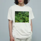 Hironori Murayama photographyのVOLCANO FOREST オーガニックコットンTシャツ