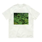 Hironori Murayama photographyのVOLCANO FOREST オーガニックコットンTシャツ