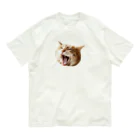 Cats & StarのScreaming Shimashima オーガニックコットンTシャツ