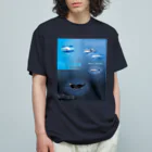 L_arctoaのイルカとクジラの違い オーガニックコットンTシャツ