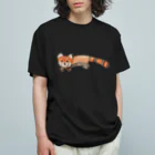 稲藁商店の小熊貓＜レッサーパンダ＞ オーガニックコットンTシャツ