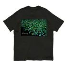 photo-kiokuの睡蓮 Organic Cotton T-Shirt