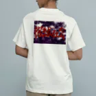 AkironBoy's_Shopの異世界　格差社会　エレファクトリー　Part-3 オーガニックコットンTシャツ