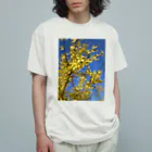 空屋　sorayakusakaの200905151652000　連翹が咲いた Organic Cotton T-Shirt