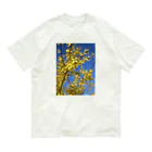 空屋　sorayakusakaの200905151652000　連翹が咲いた Organic Cotton T-Shirt