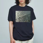 空屋　sorayakusakaの201410241247000 　海面は燻し銀 Organic Cotton T-Shirt