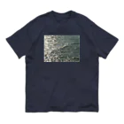 空屋　sorayakusakaの201410241247000 　海面は燻し銀 Organic Cotton T-Shirt