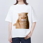 旬&福&光のエキゾチックショートヘアの光 Oversized T-Shirt