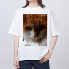 30002500の狸寝入りの術🐈 オーバーサイズTシャツ