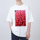 botaniaxのテロペア Oversized T-Shirt