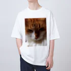 30002500の狸寝入りの術🐈 オーバーサイズTシャツ