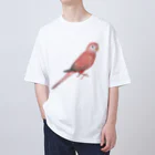 まめるりはことりのアキクサインコ　ピンク【まめるりはことり】 オーバーサイズTシャツ