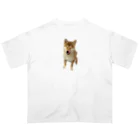 kumakumanの柴犬のホピ蔵 オーバーサイズTシャツ