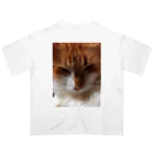 30002500の狸寝入りの術🐈 オーバーサイズTシャツ