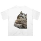グレージュ猫ロッタン🐈‍⬛のよそ見ロッタン Oversized T-Shirt