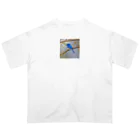 DROOMの自然と蒼い鳥 オーバーサイズTシャツ