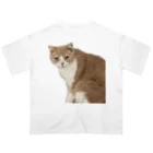 Mashlyのマシロくん猫グッズ オーバーサイズTシャツ