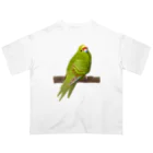 街のいろどりのキガシラアオハシインコ(前面プリント) オーバーサイズTシャツ