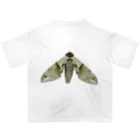 L_arctoaのウンモンスズメ幼虫と成虫 オーバーサイズTシャツ