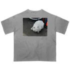 空屋　sorayakusakaの自転車屋のけむけむ猫 オーバーサイズTシャツ