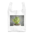 TANIKUDO by DJ.Plugmaticsの多肉植物A Reusable Bag