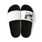 ccccandyのwkwk02 Sandals