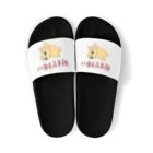 絵ハゲの店の何もできない Sandals