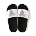 タチウオの大好きトイプードル　水彩画 Sandals
