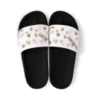 huroshikiのNUTS collection ナッツコレクション(雑貨用) Sandals