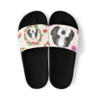 みきぞーん｜保護猫 ミッキー画伯と肉球とおともだちのmaruku Sandals