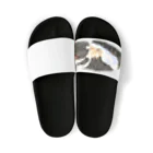 なはるんの丸まる猫 Sandals