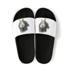 ちわわのりんちゃんのちわわのりんちゃん Sandals