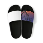 zzmatsudaの夕焼けと柿の木のトワイライト Sandals