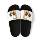 パンプアップ柴Hachiのパンプアップ柴Hachi Sandals