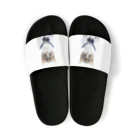 dogsandcatsのセーラーキャット Sandals