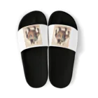 PUGおやじのロボパグ出動 Sandals