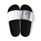 capcat1919のラベンダー猫 Sandals