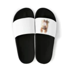 maru153921のろんぐこーとちわわ Sandals