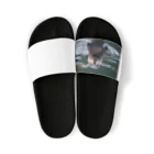 「動物ミリ屋」のカワウソのパーくん Sandals