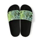 ANTARESの緑 Sandals