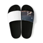 araiguma_shopの星を眺めているアライグマ Sandals