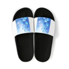 AQUAMETAVERSEの青い薔薇の花園　BLUE PLUM  691 Sandals