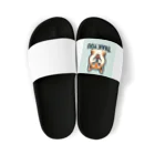 keikei5の魅力的な柴犬 Sandals