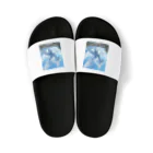 龍 SHINKI神気の龍  WHITE DRAGON Sandals